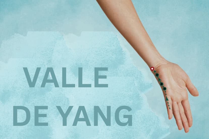 Si5 Si5 Valle de Yang (Yang Gu) The Epoch Times.