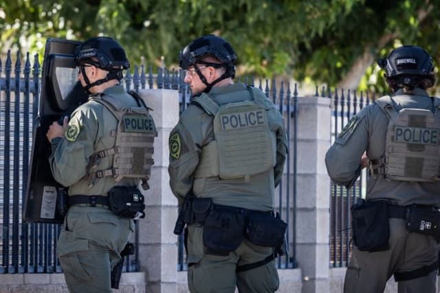 Fuerzas del orden de California incautan USD 124 millones en marihuana ilegal en una semana