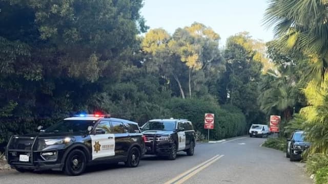 Mujer en estado de coma tras violento robo en casa de un magnate de los juguetes en California