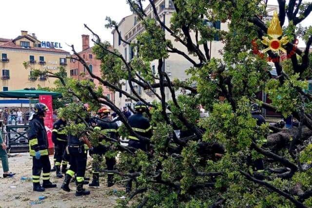 La caída de un árbol en Venecia hiere a una docena de personas, entre ellas turistas extranjeros