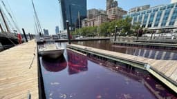 Derrame de 2000 galones de diesel contaminan lugar turístico en costa de Baltimore