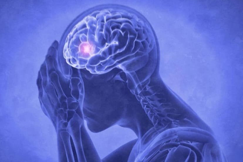 (peterschreiber.media/Shutterstock)