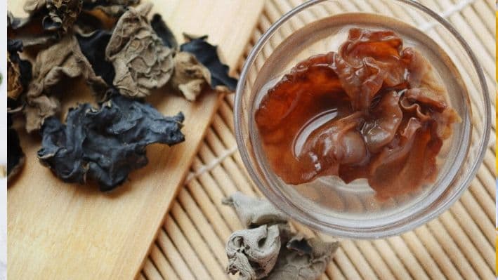 El hongo negro favorece la salud vascular y puede ayudar a reducir el riesgo de enfermedades cardiovasculares. wisely/Shutterstock