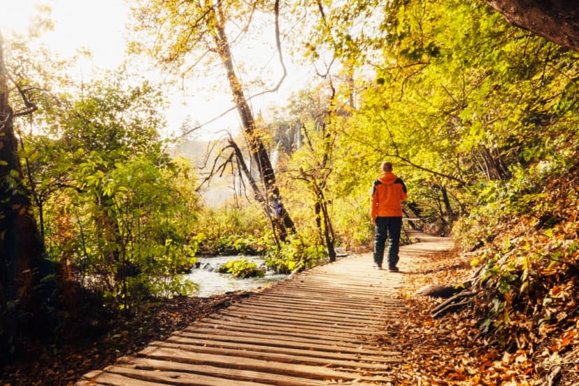 (Imagen ilustrativa, Dmytro Gilitukha/Shutterstock)