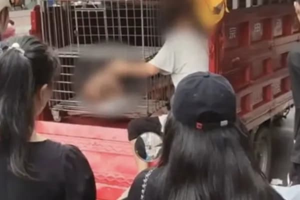 Video viral de un niño encerrado en una jaula en China reaviva sospechas de tráfico de personas