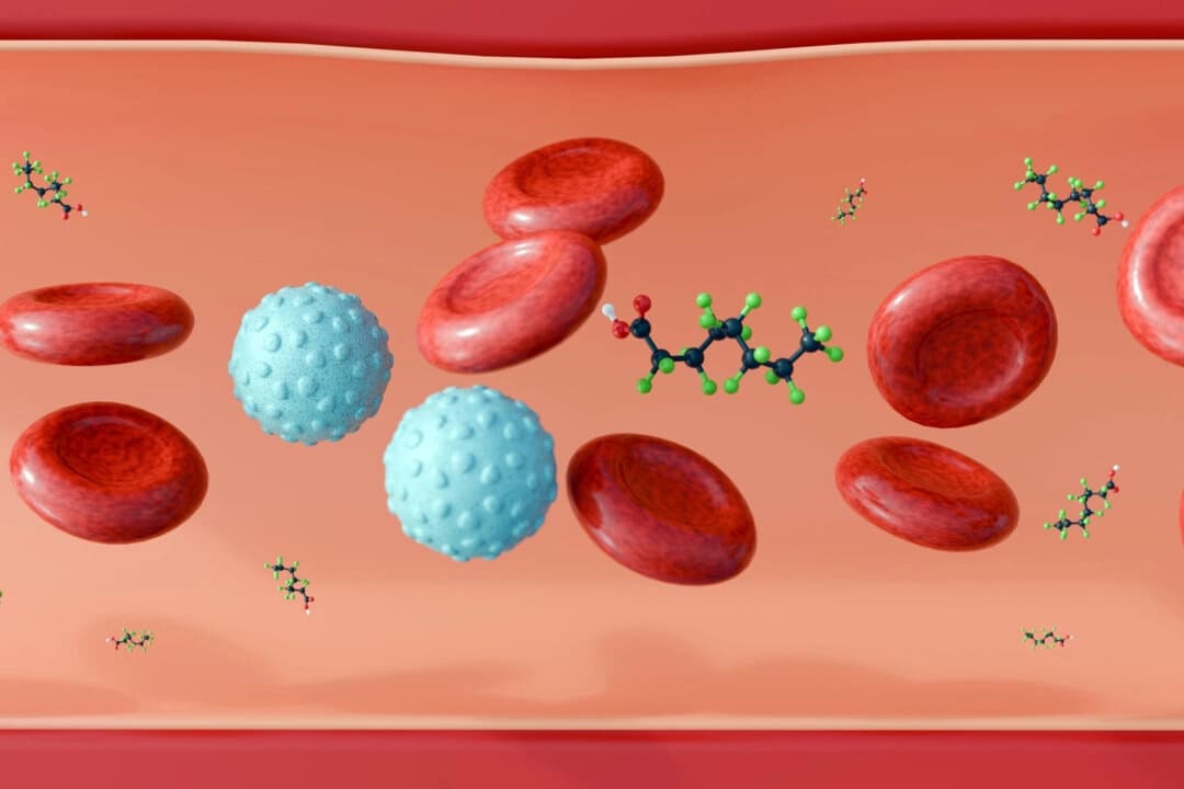 (Empleado encantador/Shutterstock).