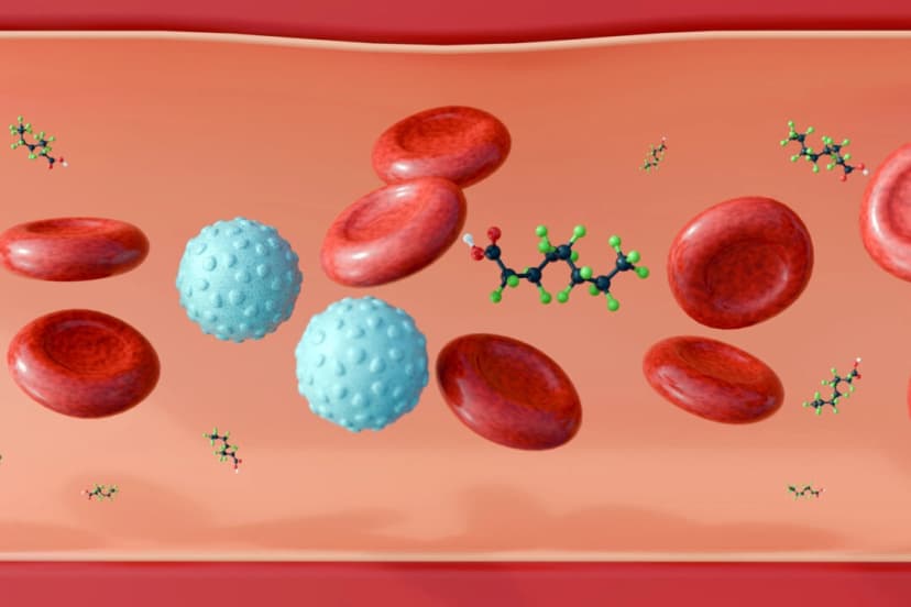 (Empleado encantador/Shutterstock).