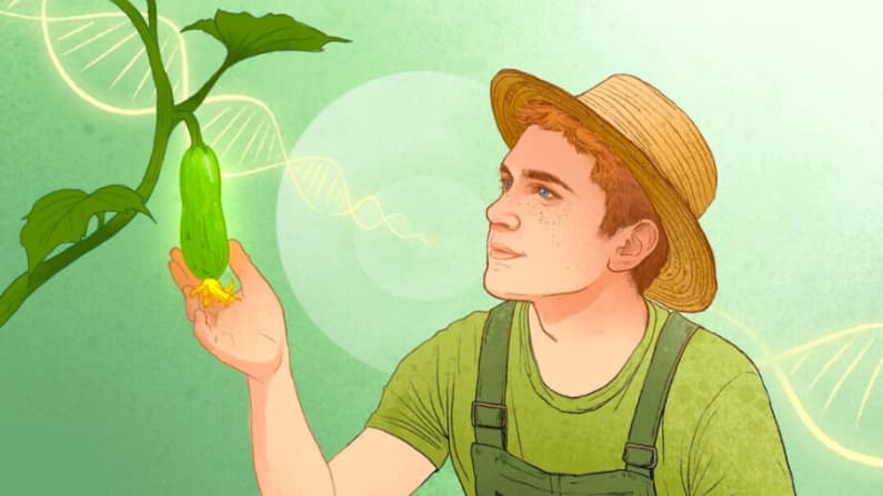 Cómo la paciencia disminuye el envejecimiento de las células