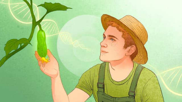 Cómo la paciencia disminuye el envejecimiento de las células