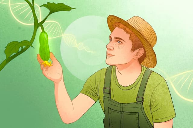 Cómo la paciencia disminuye el envejecimiento de las células