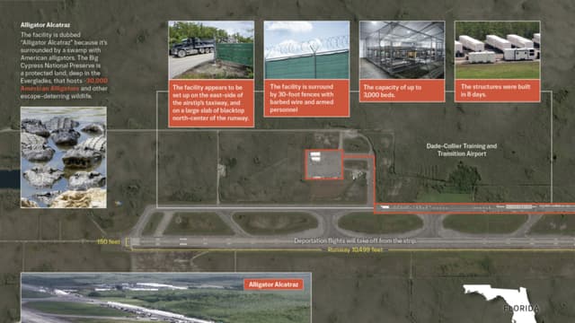 Esto debe saber sobre Alligator Alcatraz, el centro de deportación rodeado por 30,000 caimanes
