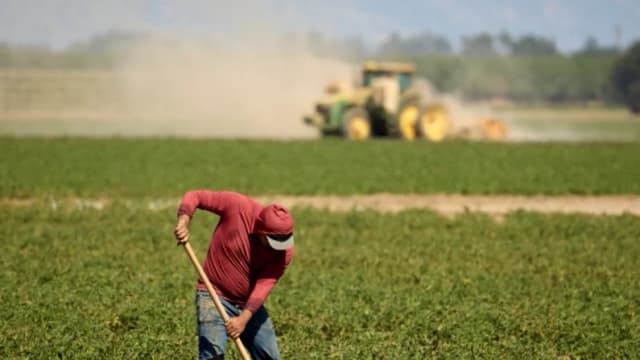 Trump dijo que aprobará una ley para contratar a inmigrantes ilegales en las granjas