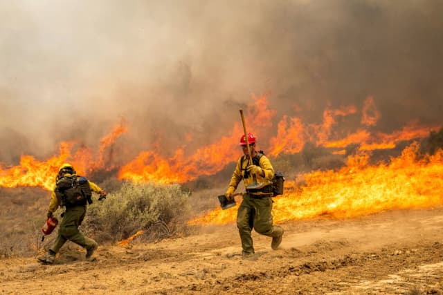 Incendio Madre en California se expande hasta cubrir 70,800 acres
