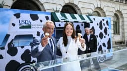 Empresas de helados se comprometen a eliminar colorantes sintéticos
