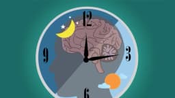 Comer cerca de la hora de dormir se relaciona con un mal control del azúcar en sangre