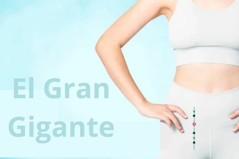 ST27 El Gran Gigante (Da Ju). (The Epoch Times)