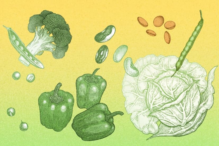 (Ilustración de The Epoch Times, Shutterstock)