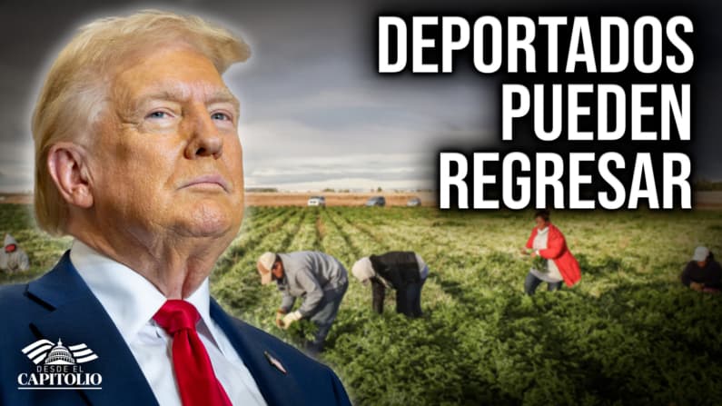 Trump permitirá el regreso legal de trabajadores agrícolas deportados