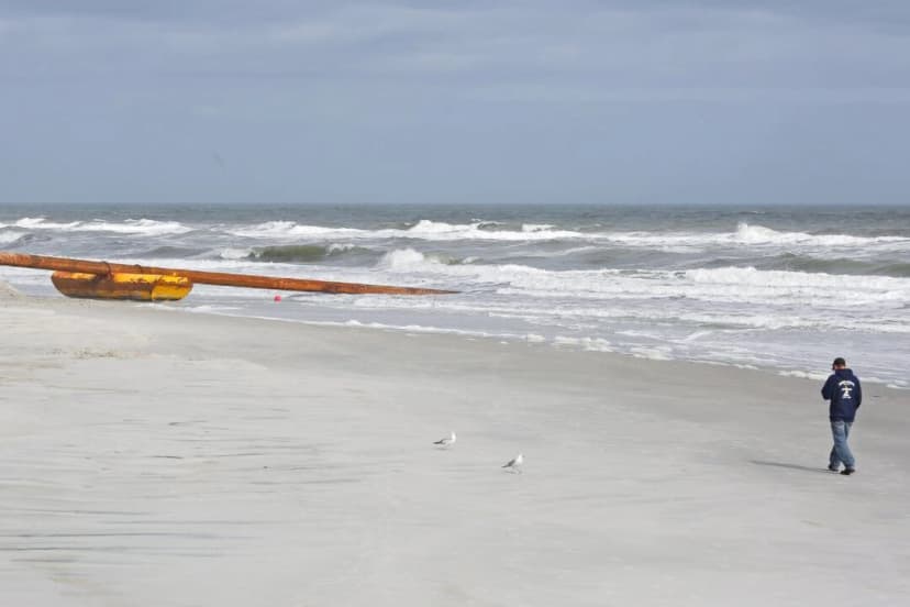 Un solitario buscador de tesoros y un par de gaviotas caminan cerca de una draga en un día ventoso en la playa de St. Augustine, en la costa atlántica de Florida, el 26 de enero de 2018. (Gregg Newton /Reuters)