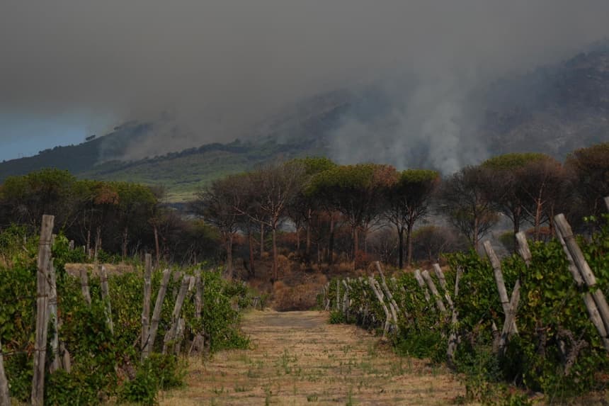 Gran incendio afecta la ladera del Vesubio en el sur de Italia