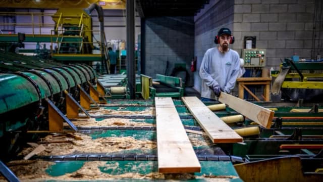 La administración Trump impone aranceles más altos a la madera canadiense