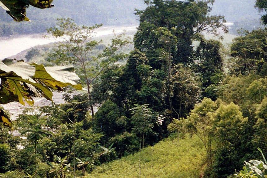 Las riberas del río Inambari. (STR/AFP via Getty Images)