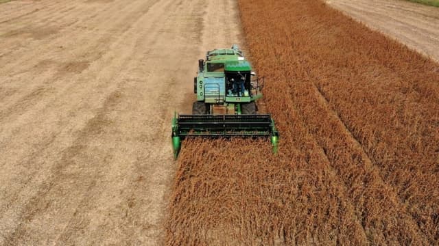 Trump quiere que China cuadriplique los pedidos de soja estadounidense