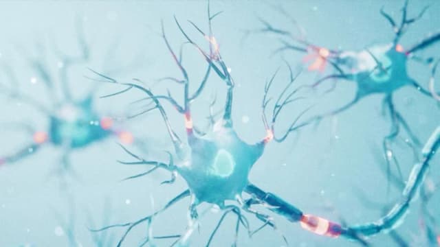 FDA defiende su exigencia de un nuevo ensayo clínico para terapia contra rara enfermedad cerebral