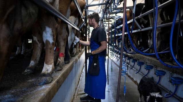 Salida de 1.6 millones de inmigrantes ilegales de EE. UU. deja más empleos para estadounidenses: Noem