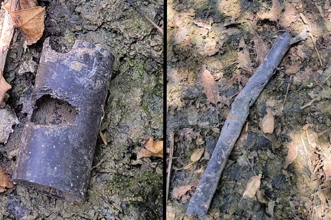 Daños en las tuberías de riego causados por ratas. (Imagen cortesía de la Junta de Almendras de California).