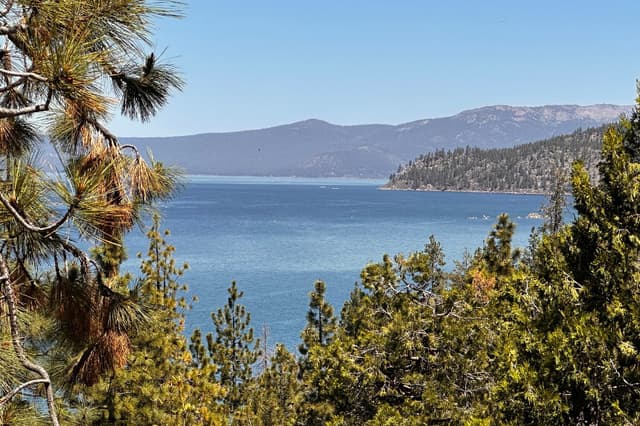 Residente de California contrae peste bubónica tras acampar en el lago Tahoe