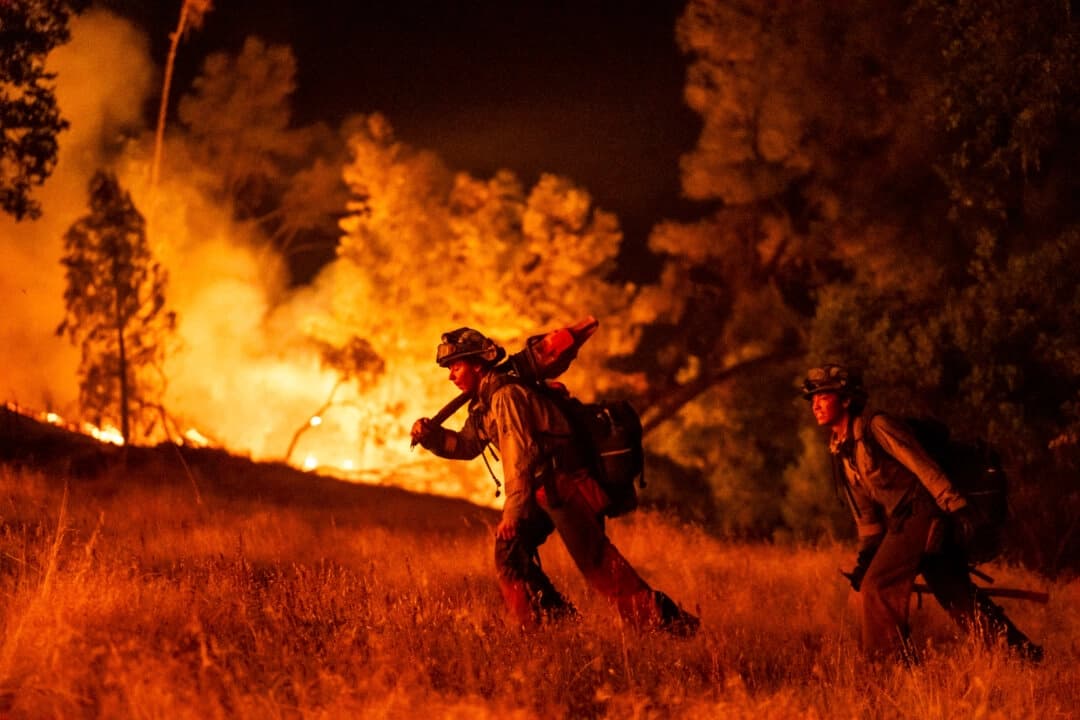 Los bomberos luchan contra el incendio Pickett que arde en la zona de Aetna Springs, en el condado de Napa California, el sábado 23 de agosto de 2025. (Noah Berger/AP Photo)..
