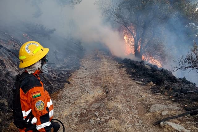 Bolivia reporta 83,223 hectáreas afectadas por incendios en parques y reservas naturales