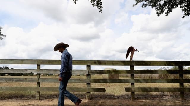 Miembros del Tren de Aragua y otros grupos "hostiles" no podrán comprar tierras en Texas: Greg Abbot