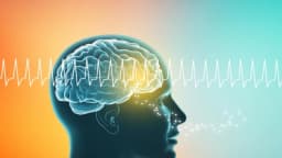 El sentido del olfato se puede mejorar con estimulación cerebral por ondas de radio