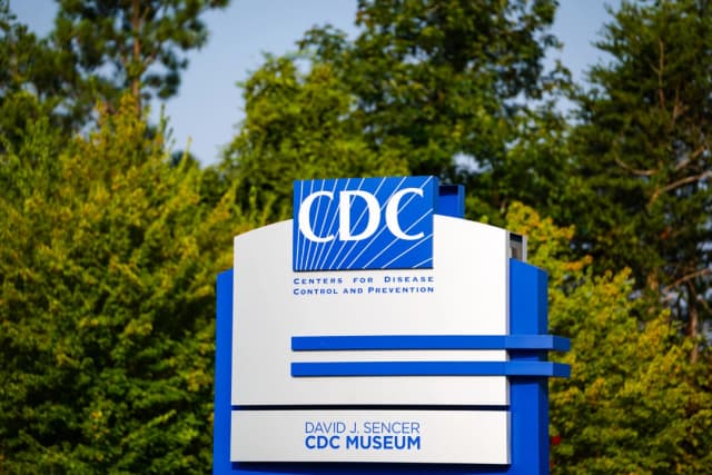 Brote de salmonela en varios estados relacionado con los huevos enferma a 95 personas: CDC
