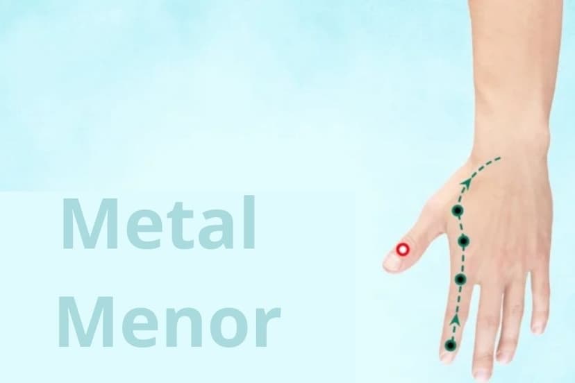 LU11 Metal Menor (Shao Shang) (The Epoch Times)