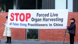 Más de 505,000 personas piden a países actuar contra sustracción forzada de órganos del PCCh