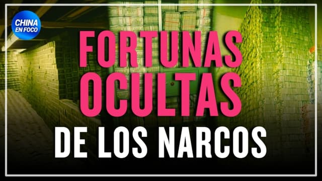 Las ganancias astronómicas de los narcos: 330 kilómetros de billetes de $100 ¿Cómo los mueven?