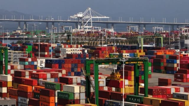 Trump aprueba alivio arancelario para aliados y productos clave