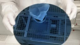 Control más estricto de EE. UU. sobre envíos a fábricas de chips en China frenará a Beijing: analistas