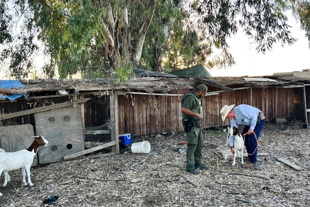 Necesitamos tribunales para la trata de personas