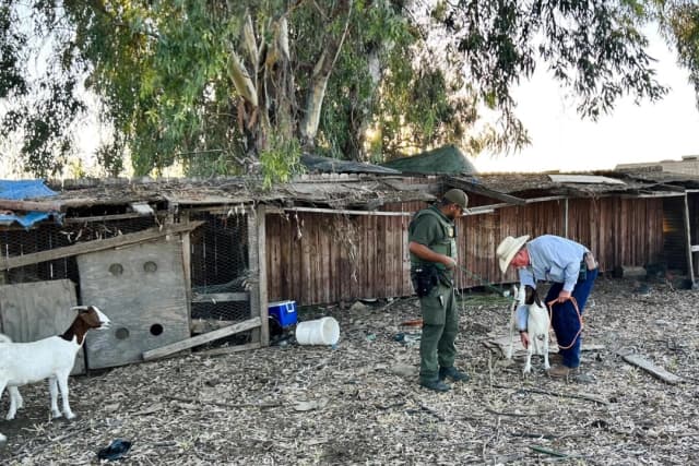Necesitamos tribunales para la trata de personas