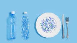 La lucha contra los microplásticos en la cocina