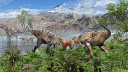 Hallan en Mongolia el paquicefalosaurio más antiguo y completo descubierto hasta ahora