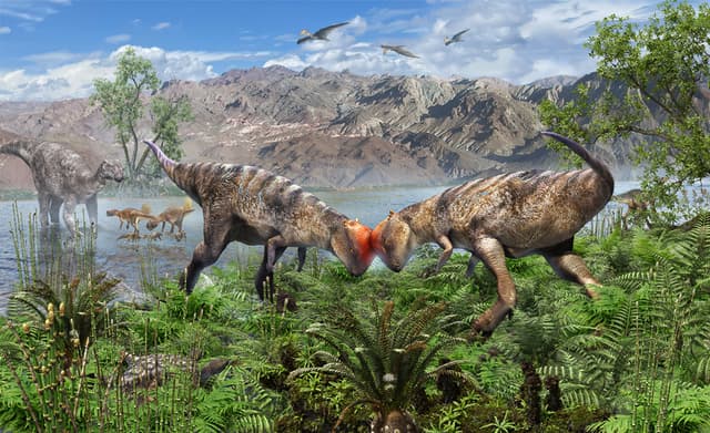 Hallan en Mongolia el paquicefalosaurio más antiguo y completo descubierto hasta ahora