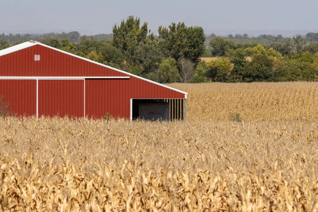 EE. UU. utilizará ingresos de los aranceles para ayudar a los agricultores: Trump
