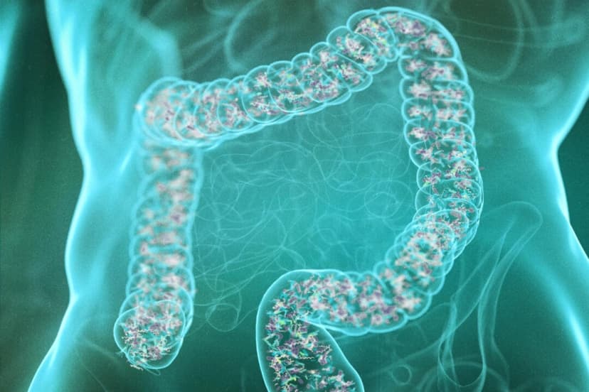 3dMediSphere/Shutterstock