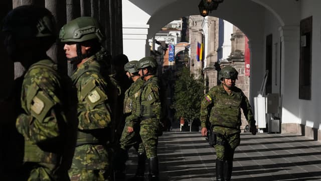 Ejército de Ecuador destruye 10,000 plantas de coca en la frontera con Colombia