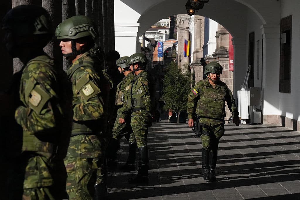 Ejército de Ecuador destruye 10,000 plantas de coca en la frontera con Colombia